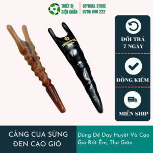 Càng Cua Kim Cang Sừng