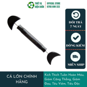 Con Cá Diện Chẩn