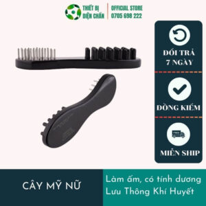 Cây Mỹ Nữ Diện Chẩn