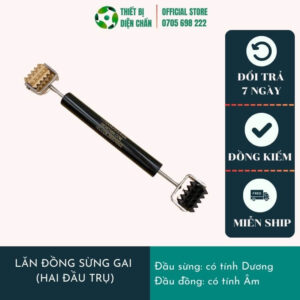 Lăn Đồng Sừng Gai Diện Chẩn