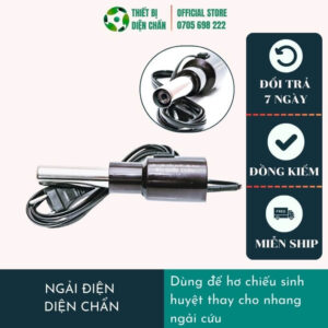 Ngải Cứu Điện Diện Chẩn