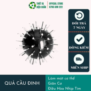 Quả Cầu Đinh Diện Chẩn