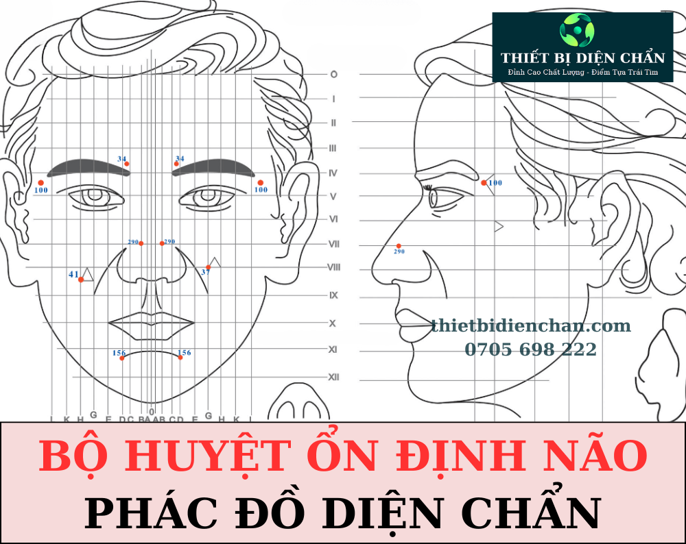 Tê liệt nửa người