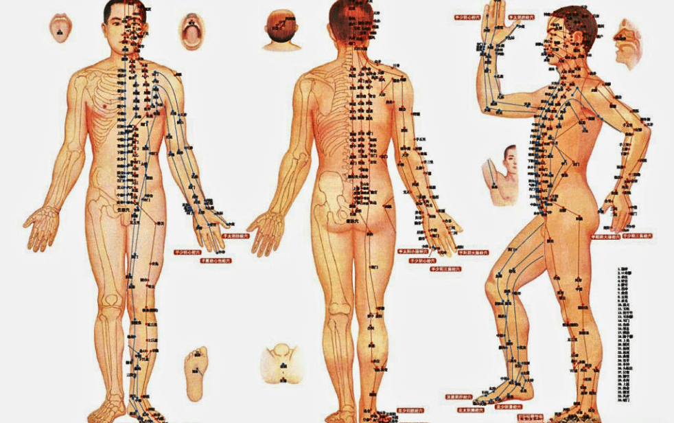 Tác động Trị Bệnh