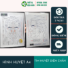 Tờ Huyệt A4