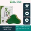 Miếng Dán Ngải Cứu