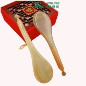 Con ve sừng