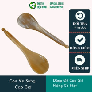 Con ve sừng