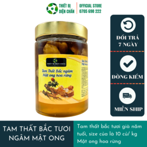 Tam thất bắc tươi ngâm mật ong