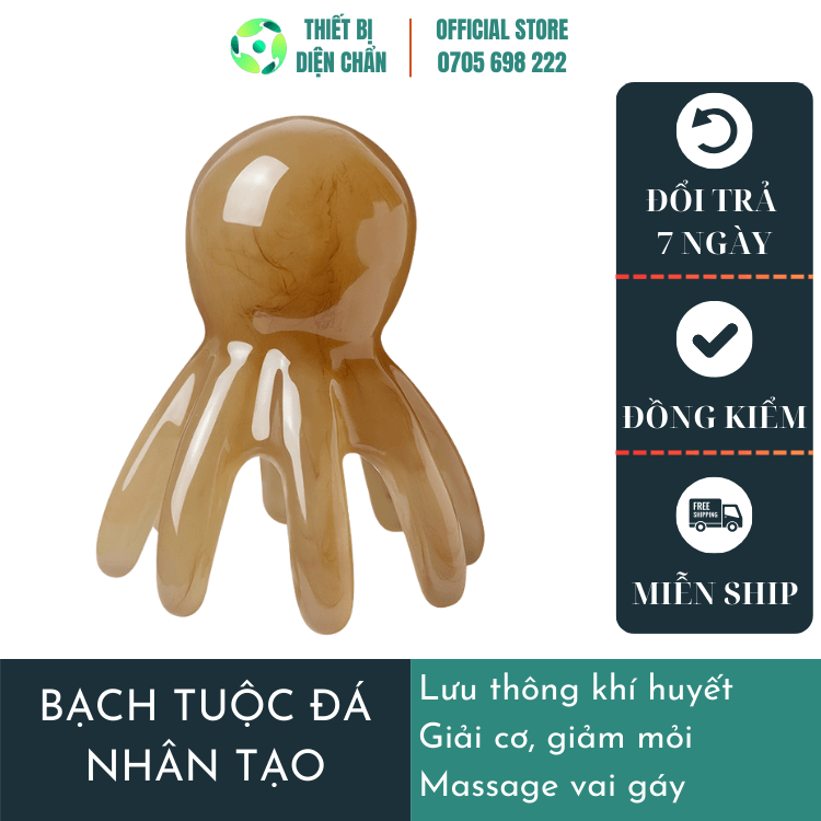 BẠCH TUỘC ĐÁ NHÂN TẠO