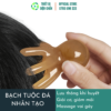 BẠCH TUỘC ĐÁ NHÂN TẠO