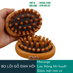 BỌ LỒI GỖ ĐÀN HỒI