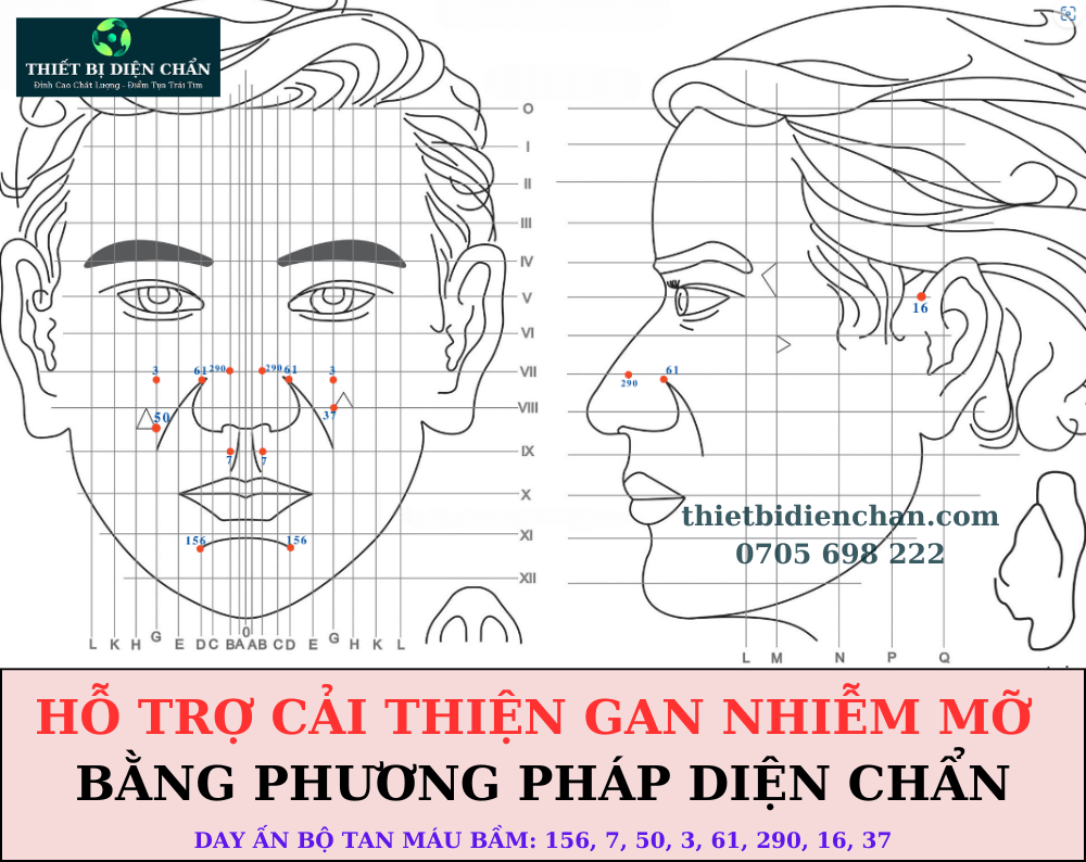 HỖ TRỢ CẢI THIỆN GAN NHIỄM MỠ BẰNG PHƯƠNG PHÁP DIỆN CHẨN
