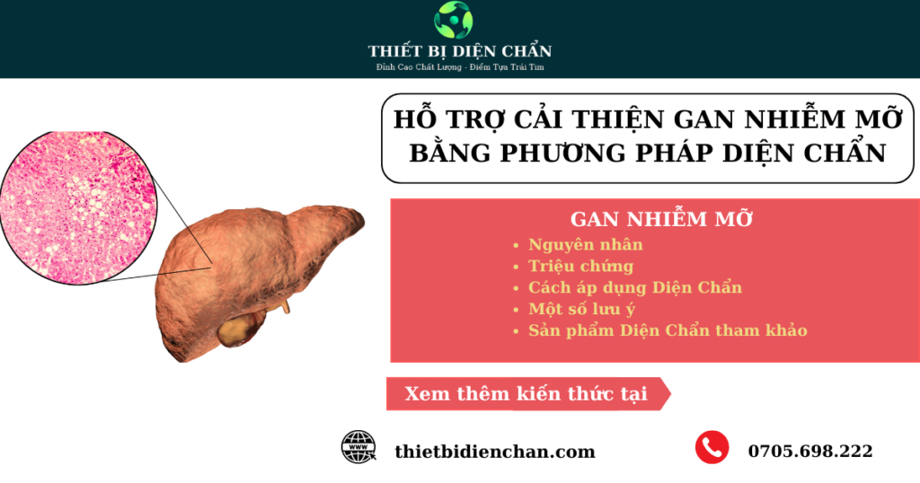 HỖ TRỢ CẢI THIỆN GAN NHIỄM MỠ BẰNG PHƯƠNG PHÁP DIỆN CHẨN