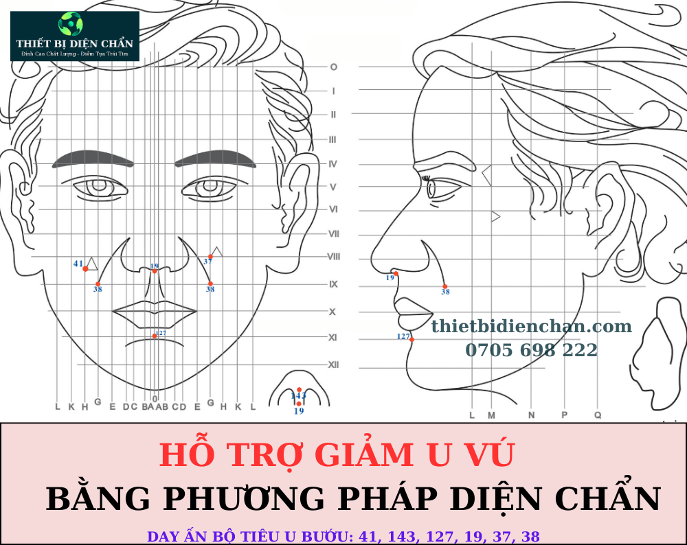 u vú