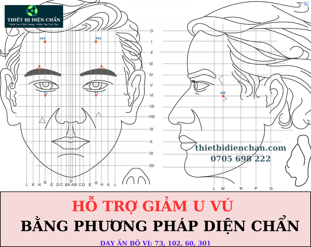 u vú