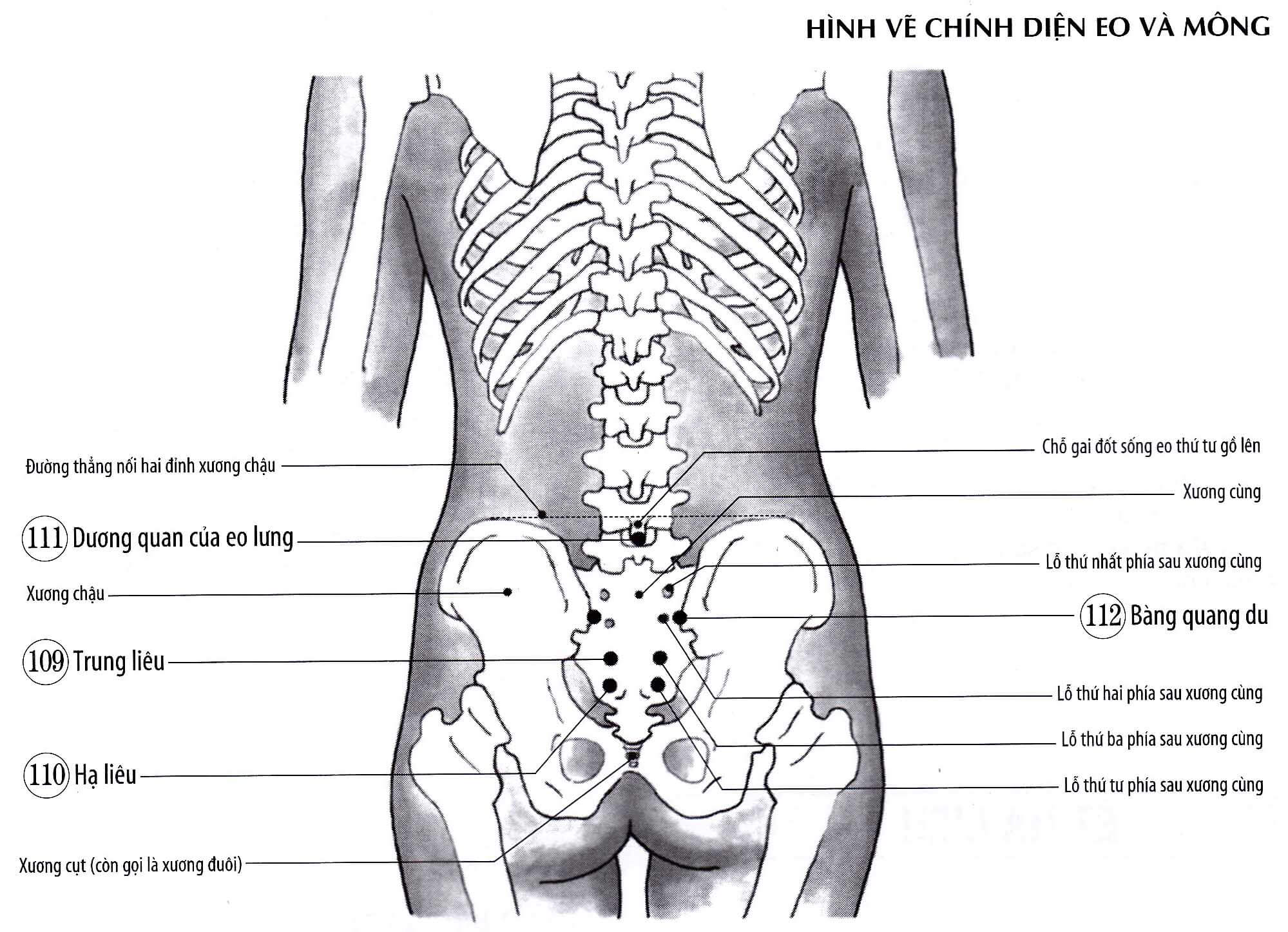 Chứng Đi Tiểu Ra Máu