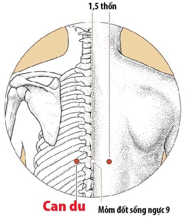 Chứng Đi Tiểu Ra Máu