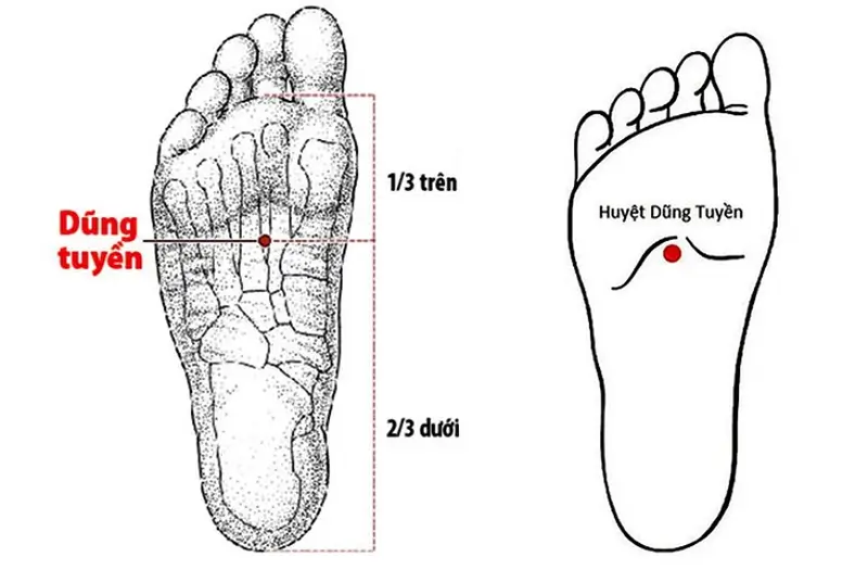 CHỮA HO VÀ SỔ MŨI CHO BÉ BẰNG PHƯƠNG PHÁP DIỆN CHẨN