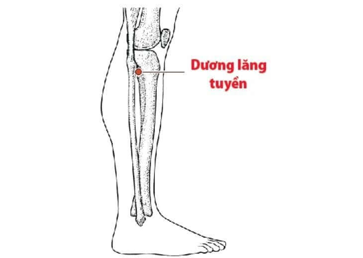 Chữa trị liệt nửa người bằng phương pháp diện chẩn