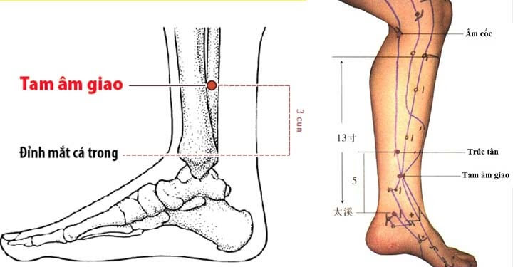 CẢI THIỆN BỆNH GOUT BẰNG PHƯƠNG PHÁP DIỆN CHẨN