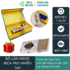 cây lăn ngải cứu pro