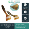 cây cào sừng ấn huyệt