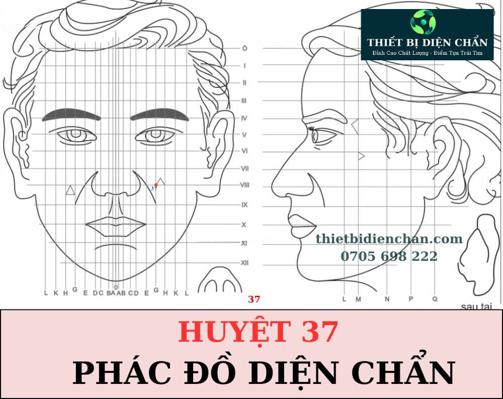 Huyệt 37