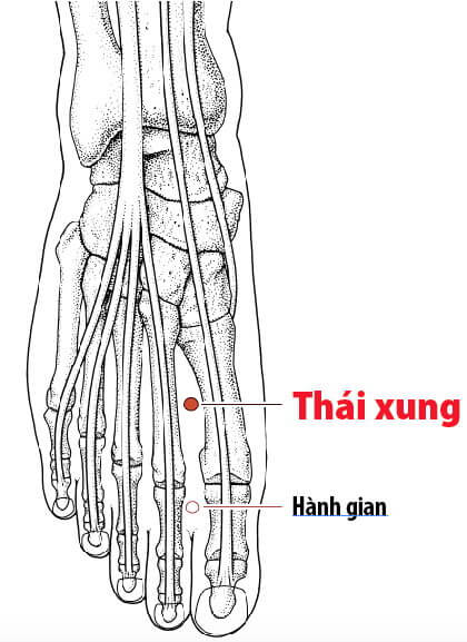 Áp dụng phương pháp diện chẩn cho phụ nữ mang thai