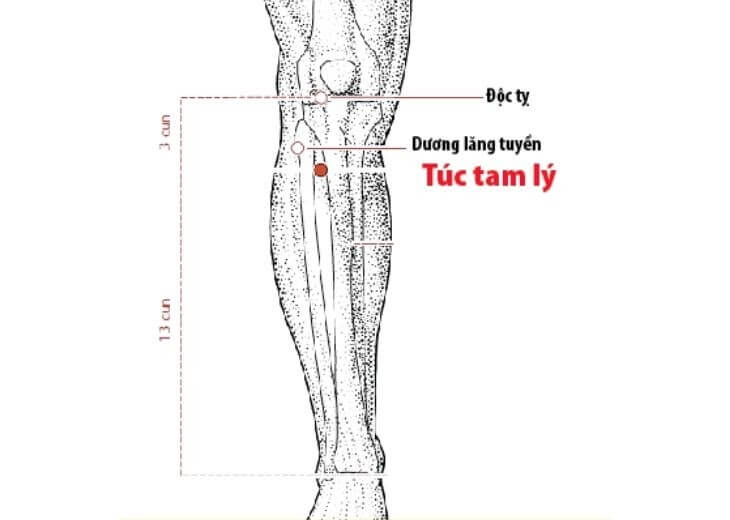 Áp Dụng Phương Pháp Diện Chẩn Cho Phụ Nữ Mang Thai