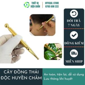 cây đồng thải độc huyền châm