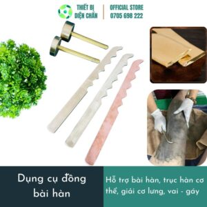 Dụng Cụ Đồng Diện Chẩn – Bài Hàn, Giải Cơ, Giảm Đau Vai Gáy